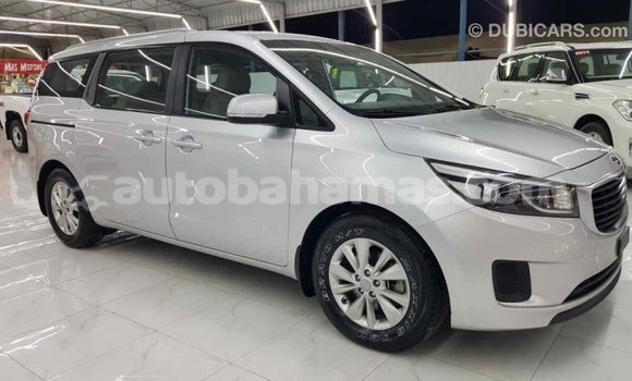 Buy Import Kia Carnival Other Car in Import - Dubai in Abaco