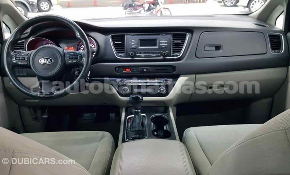 Buy Import Kia Carnival Other Car in Import - Dubai in Abaco Buy Import Kia Carnival Other Car in Import - Dubai in Abaco