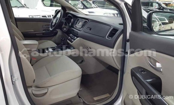 Buy Import Kia Carnival Other Car in Import - Dubai in Abaco Buy Import Kia Carnival Other Car in Import - Dubai in Abaco