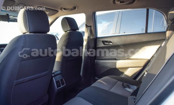 Buy Import Hyundai Creta White Car in Import - Dubai in Abaco Buy Import Hyundai Creta White Car in Import - Dubai in Abaco