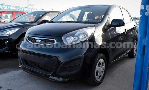 Buy Import Kia Picanto Black Car in Import - Dubai in Abaco Buy Import Kia Picanto Black Car in Import - Dubai in Abaco