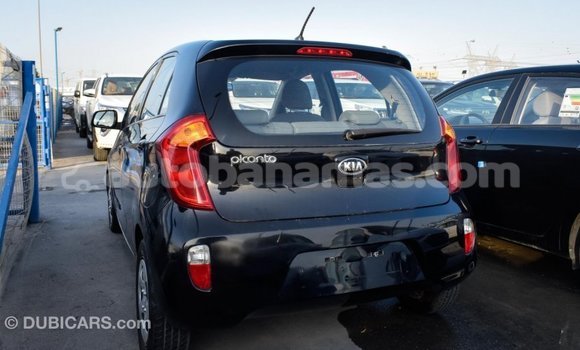 Buy Import Kia Picanto Black Car in Import - Dubai in Abaco Buy Import Kia Picanto Black Car in Import - Dubai in Abaco