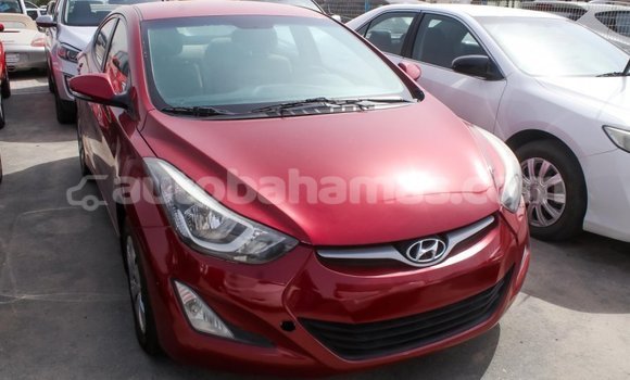 Buy Import Hyundai Elantra Red Car in Import - Dubai in Abaco Buy Import Hyundai Elantra Red Car in Import - Dubai in Abaco