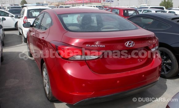Buy Import Hyundai Elantra Red Car in Import - Dubai in Abaco Buy Import Hyundai Elantra Red Car in Import - Dubai in Abaco