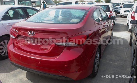 Buy Import Hyundai Elantra Red Car in Import - Dubai in Abaco Buy Import Hyundai Elantra Red Car in Import - Dubai in Abaco