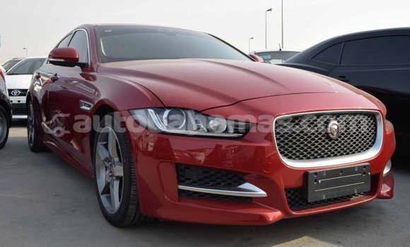 Buy Import Jaguar XE Red Car in Import - Dubai in Abaco