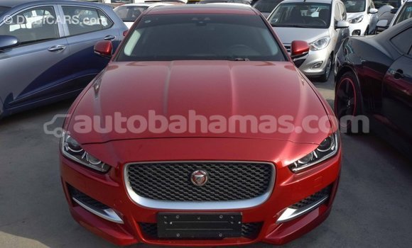 Buy Import Jaguar XE Red Car in Import - Dubai in Abaco Buy Import Jaguar XE Red Car in Import - Dubai in Abaco