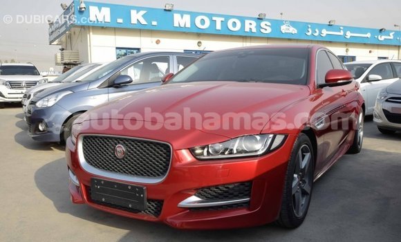 Buy Import Jaguar XE Red Car in Import - Dubai in Abaco Buy Import Jaguar XE Red Car in Import - Dubai in Abaco