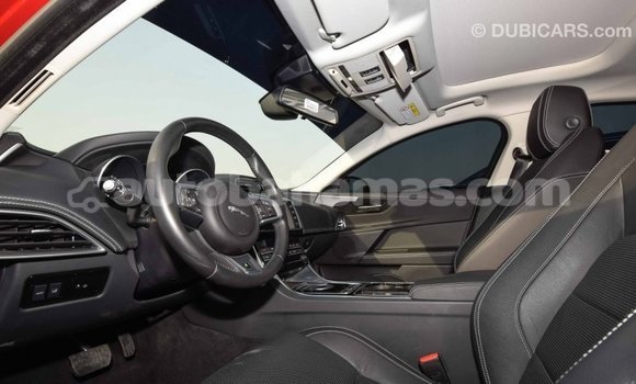 Buy Import Jaguar XE Red Car in Import - Dubai in Abaco Buy Import Jaguar XE Red Car in Import - Dubai in Abaco