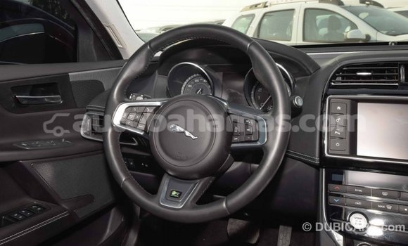 Buy Import Jaguar XE Red Car in Import - Dubai in Abaco Buy Import Jaguar XE Red Car in Import - Dubai in Abaco