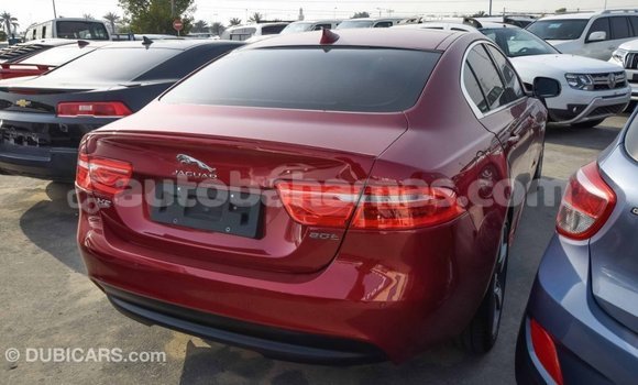Buy Import Jaguar XE Red Car in Import - Dubai in Abaco Buy Import Jaguar XE Red Car in Import - Dubai in Abaco