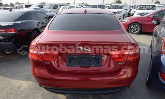 Buy Import Jaguar XE Red Car in Import - Dubai in Abaco Buy Import Jaguar XE Red Car in Import - Dubai in Abaco