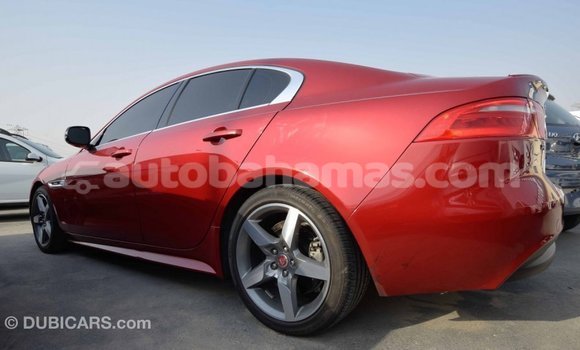 Buy Import Jaguar XE Red Car in Import - Dubai in Abaco Buy Import Jaguar XE Red Car in Import - Dubai in Abaco