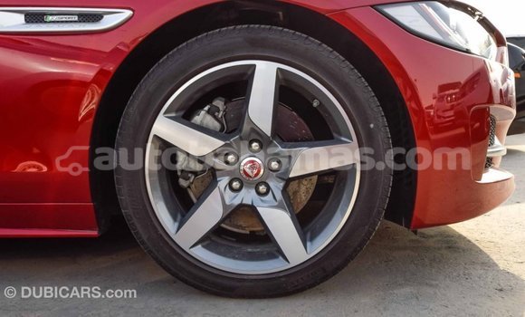 Buy Import Jaguar XE Red Car in Import - Dubai in Abaco Buy Import Jaguar XE Red Car in Import - Dubai in Abaco
