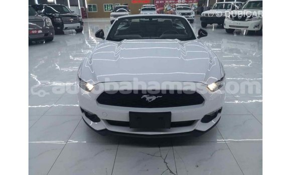 Buy Import Ford Mustang White Car in Import - Dubai in Abaco Buy Import Ford Mustang White Car in Import - Dubai in Abaco