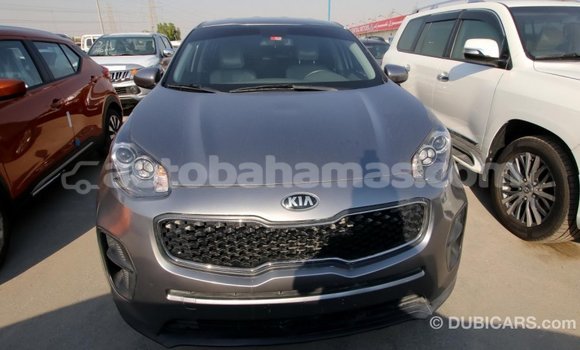 Buy Import Kia Sportage Other Car in Import - Dubai in Abaco Buy Import Kia Sportage Other Car in Import - Dubai in Abaco