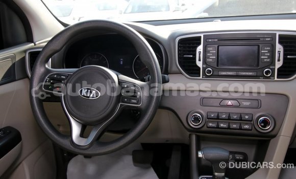 Buy Import Kia Sportage Other Car in Import - Dubai in Abaco Buy Import Kia Sportage Other Car in Import - Dubai in Abaco