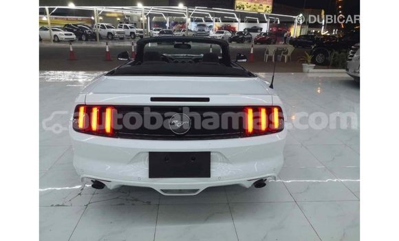 Buy Import Ford Mustang White Car in Import - Dubai in Abaco Buy Import Ford Mustang White Car in Import - Dubai in Abaco