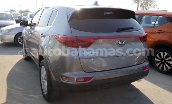 Buy Import Kia Sportage Other Car in Import - Dubai in Abaco Buy Import Kia Sportage Other Car in Import - Dubai in Abaco