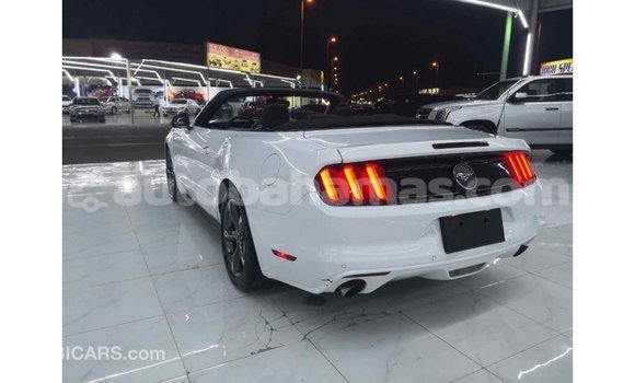 Buy Import Ford Mustang White Car in Import - Dubai in Abaco Buy Import Ford Mustang White Car in Import - Dubai in Abaco