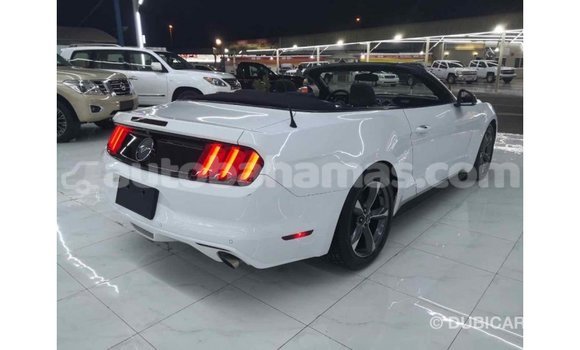 Buy Import Ford Mustang White Car in Import - Dubai in Abaco Buy Import Ford Mustang White Car in Import - Dubai in Abaco