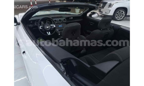 Buy Import Ford Mustang White Car in Import - Dubai in Abaco Buy Import Ford Mustang White Car in Import - Dubai in Abaco
