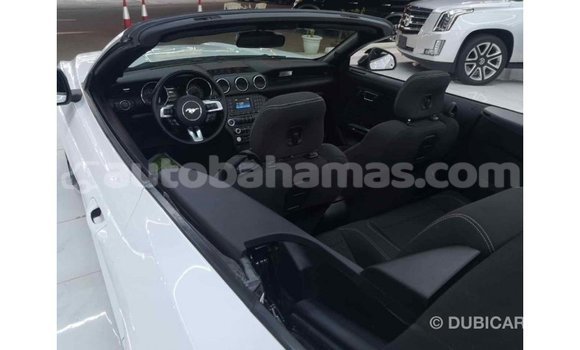Buy Import Ford Mustang White Car in Import - Dubai in Abaco Buy Import Ford Mustang White Car in Import - Dubai in Abaco
