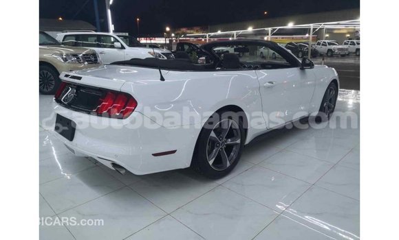 Buy Import Ford Mustang White Car in Import - Dubai in Abaco Buy Import Ford Mustang White Car in Import - Dubai in Abaco