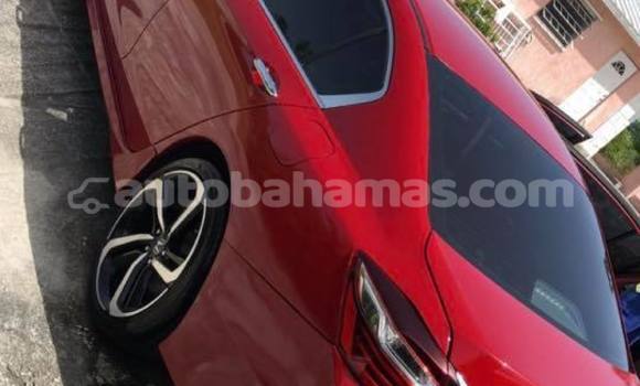Buy Used Honda Accord Red Car in Freetown in Eleuthera Buy Used Honda Accord Red Car in Freetown in Eleuthera