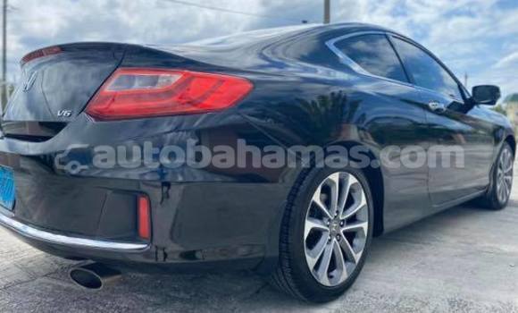 Buy Used Honda Accord Black Car in Freetown in Eleuthera Buy Used Honda Accord Black Car in Freetown in Eleuthera