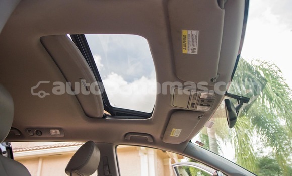 Buy Used Honda Odyssey Other Car in Freetown in Eleuthera Buy Used Honda Odyssey Other Car in Freetown in Eleuthera