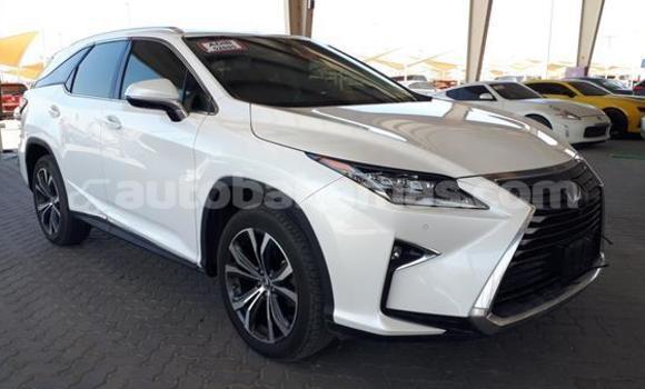 Buy Used Lexus RX 350 White Car in Marsh Harbour in Abaco Buy Used Lexus RX 350 White Car in Marsh Harbour in Abaco