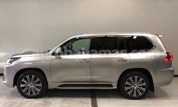 Buy Used Lexus LX 570 Brown Car in Alice Town in Biminis