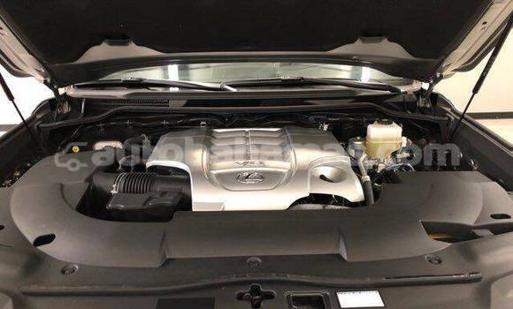 Buy Used Lexus LX 570 Brown Car in Alice Town in Biminis Buy Used Lexus LX 570 Brown Car in Alice Town in Biminis