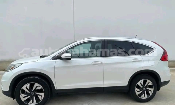 Buy Used AC Ace White Car in Alice Town in Biminis