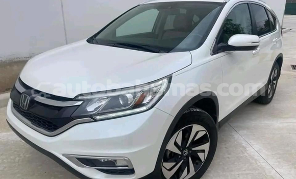 Buy Used AC Ace White Car in Alice Town in Biminis Buy Used AC Ace White Car in Alice Town in Biminis