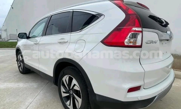 Buy Used AC Ace White Car in Alice Town in Biminis Buy Used AC Ace White Car in Alice Town in Biminis