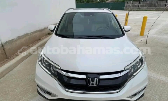 Buy Used AC Ace White Car in Alice Town in Biminis Buy Used AC Ace White Car in Alice Town in Biminis