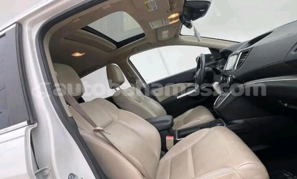 Buy Used AC Ace White Car in Alice Town in Biminis Buy Used AC Ace White Car in Alice Town in Biminis