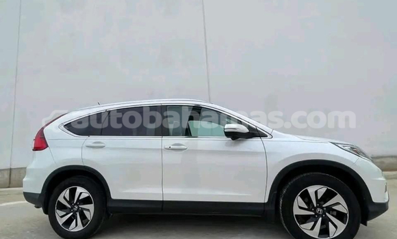 Buy Used AC Ace White Car in Alice Town in Biminis Buy Used AC Ace White Car in Alice Town in Biminis