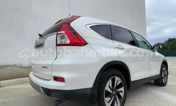 Buy Used AC Ace White Car in Alice Town in Biminis Buy Used AC Ace White Car in Alice Town in Biminis