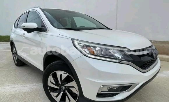 Buy Used AC Ace White Car in Alice Town in Biminis Buy Used AC Ace White Car in Alice Town in Biminis