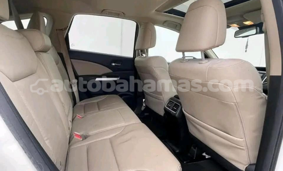 Buy Used AC Ace White Car in Alice Town in Biminis Buy Used AC Ace White Car in Alice Town in Biminis