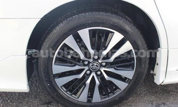 Buy Used Toyota Alphard White Car in Marsh Harbour in Abaco Buy Used Toyota Alphard White Car in Marsh Harbour in Abaco