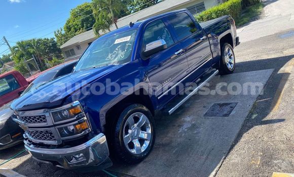 Buy Used Toyota Hilux Blue Car in Nicholls Town in Andros