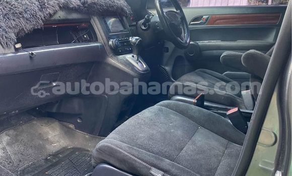 Buy Used Honda CR–V Other Car in Nicholls Town in Andros Buy Used Honda CR–V Other Car in Nicholls Town in Andros