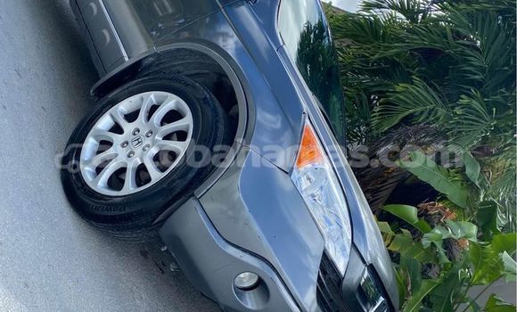 Buy Used Honda CR–V Other Car in Nicholls Town in Andros Buy Used Honda CR–V Other Car in Nicholls Town in Andros