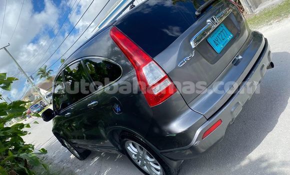 Buy Used Honda CR–V Other Car in Nicholls Town in Andros Buy Used Honda CR–V Other Car in Nicholls Town in Andros
