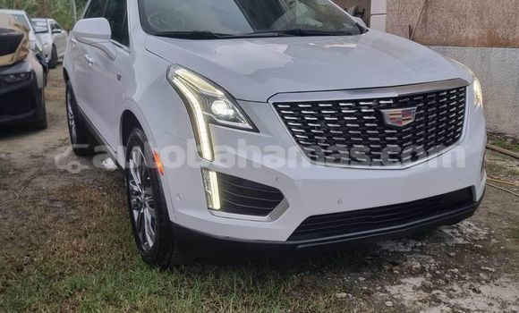 Buy Used Cadillac XT5 White Car in Nicholls Town in Andros