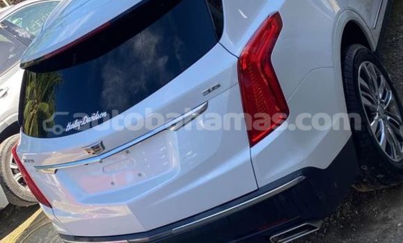 Buy Used Cadillac XT5 White Car in Nicholls Town in Andros Buy Used Cadillac XT5 White Car in Nicholls Town in Andros